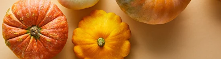 [Светлана Литвиненко] Протокол «Дети» (2024)_0.png